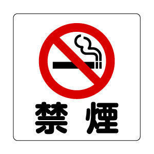 nosmoking.jpg